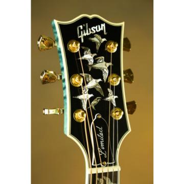 Gibson martin d45 Doves dreadnought acoustic guitar in martin guitar accessories Flight martin acoustic guitars Trans martin guitar case Blue Custom Acoustic Guitar