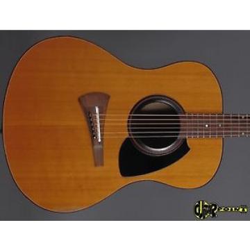 1975 martin Gibson martin strings acoustic MK martin guitar strings acoustic medium 53 martin guitar case Flattop acoustic guitar martin - Natural Maple back - Rare Guitar!