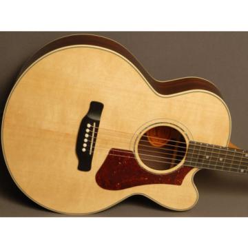 Gibson martin guitar accessories HP martin acoustic guitars 665 martin acoustic guitar SB dreadnought acoustic guitar - martin guitar strings 2017