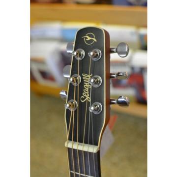 Seagull guitar strings martin Coastline martin guitar strings acoustic Cedar dreadnought acoustic guitar Grand martin d45 Acoustic martin guitar Guitar with Hard Shell Case