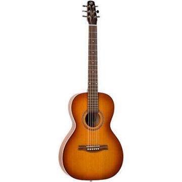 Godin martin strings acoustic Guitars martin acoustic guitar strings Seagull martin Entourage martin d45 Rustic dreadnought acoustic guitar Grand QI - 035625