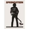 BRUCE acoustic guitar martin SPRINGSTEEN martin d45 THE martin guitar strings acoustic medium BOSS martin guitar case MUSIC guitar strings martin ICON GUITAR POSTER PRINT  AMK2353