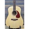 Seagull martin d45 by martin guitars Godin martin acoustic strings Coastline acoustic guitar martin S6 guitar strings martin Spruce &#034;SF&#034; Acoustic Guitar #029532900212