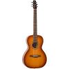 Godin martin strings acoustic Guitars martin acoustic guitar strings Seagull martin Entourage martin d45 Rustic dreadnought acoustic guitar Grand QI - 035625