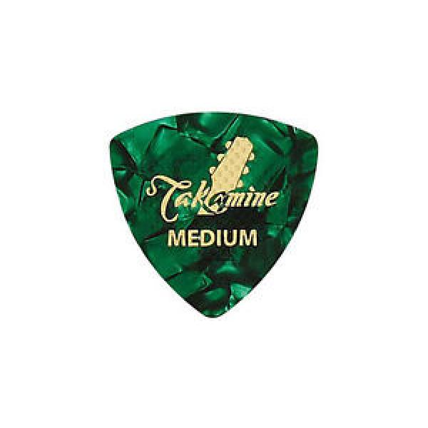 10pcs martin guitar strings acoustic TAKAMINE dreadnought acoustic guitar P1G-M guitar martin Green martin strings acoustic Medium guitar strings martin Guitar Picks with Cleat Japan import #1 image