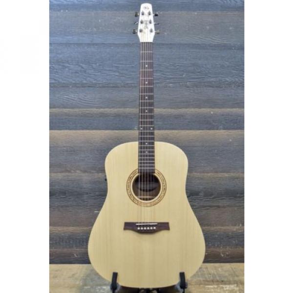 Seagull martin guitars acoustic by martin acoustic guitar strings Godin martin Excursion guitar strings martin Solid martin guitar strings acoustic medium Spruce Isyst &#034;SF&#034; Ac. El. Guitar #039586000723 #2 image