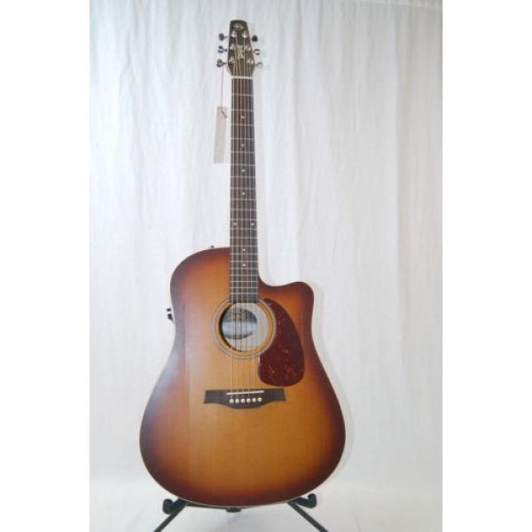 Seagull martin guitars Entourage acoustic guitar martin Rustic martin acoustic guitar strings CW martin guitars acoustic QI dreadnought acoustic guitar Acoustic Electric Guitar DAMAGED #D2822 #1 image