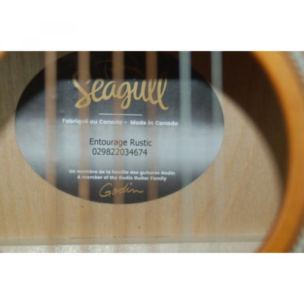 Seagull martin strings acoustic Entourage guitar strings martin Rustic martin acoustic strings Dreadnought guitar martin Acoustic martin guitar strings Guitar BLEM #B4674 #4 image