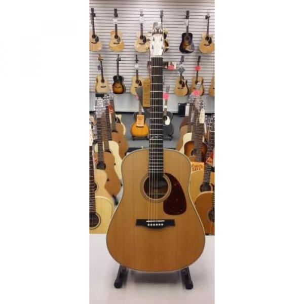 Seagull dreadnought acoustic guitar Artist martin acoustic guitars Mosaic martin Guitar martin guitars with guitar martin Tric Case #1 image