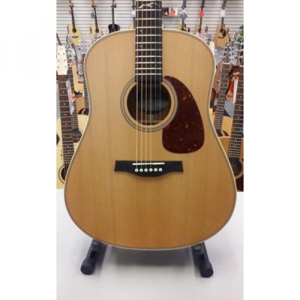 Seagull dreadnought acoustic guitar Artist martin acoustic guitars Mosaic martin Guitar martin guitars with guitar martin Tric Case #2 image