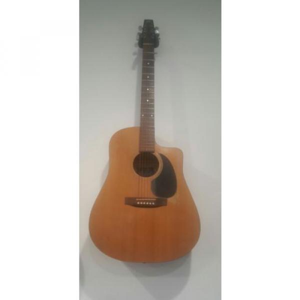 Vintage martin guitar Seagull martin guitar case  dreadnought acoustic guitar S(6) martin guitar accessories C.W acoustic guitar strings martin  Acoustic Guitar #1 image