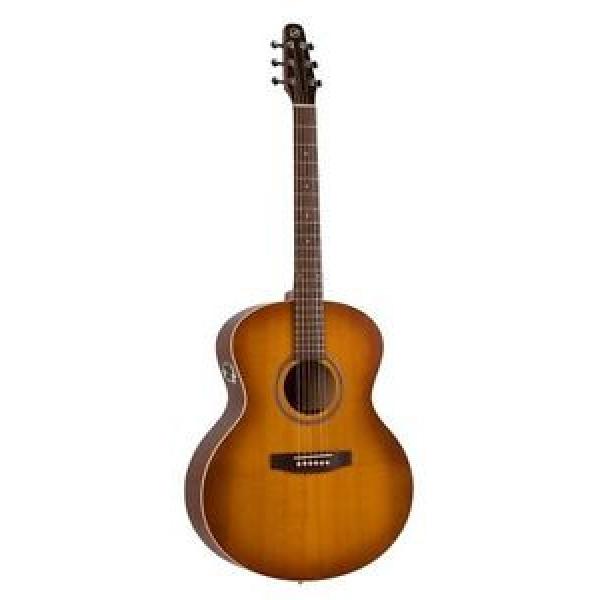 Seagull martin acoustic strings Entourage guitar martin Rustic martin d45 Mini martin Jumbo martin guitar QI Guitar #1 image