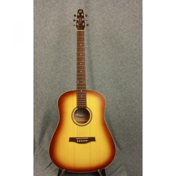 Seagull martin acoustic guitar Coastline martin guitar accessories Creme martin guitars Brulee martin guitar case SG martin acoustic strings Acoustic Guitar #2 image