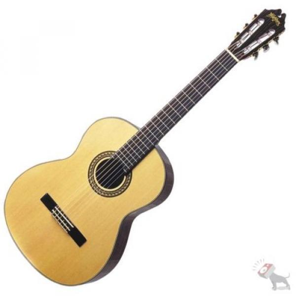 Washburn martin C80S acoustic guitar martin Madrid guitar martin Classical martin acoustic guitar Acoustic martin guitar strings Solid Cedar Top Guitar Natural Satin #1 image