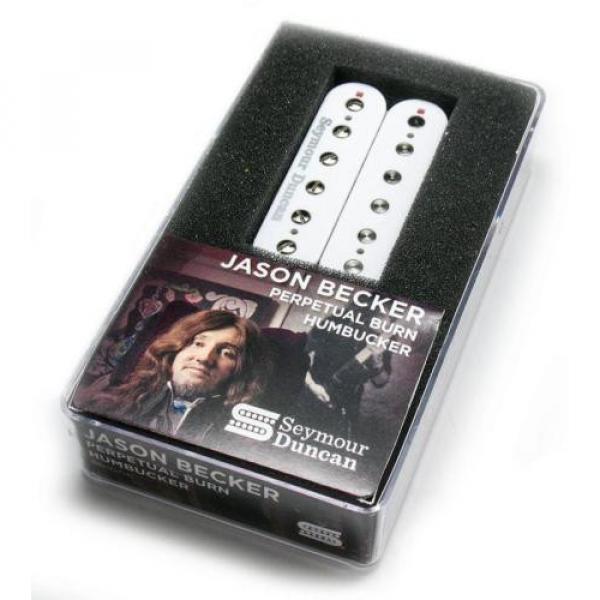 Seymour martin strings acoustic Duncan martin Jason martin acoustic guitars Becker martin guitars Perpetual martin acoustic guitar strings Burn Trembucker white #2 image