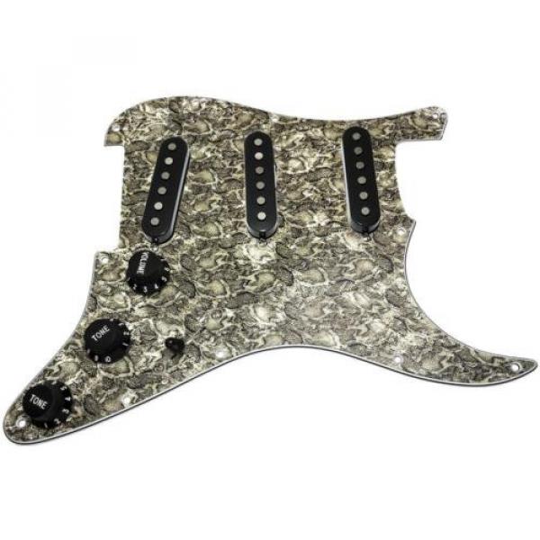 Loaded martin guitar strings Strat martin Pickguard martin guitar w guitar martin Seymour martin guitars acoustic Duncan SSL-2 Pickups, Blender, Snakeskin/Black #1 image